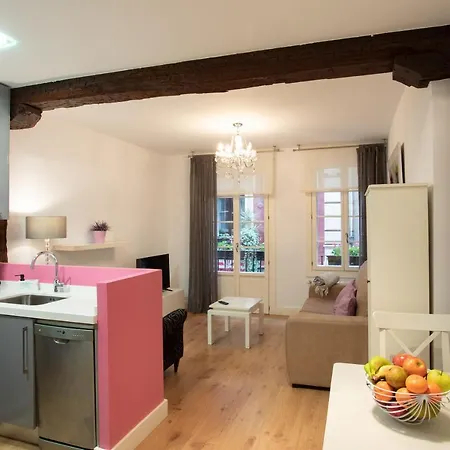 Acogedor Apartamento En El Centro Del Casco Viejo Apartment *